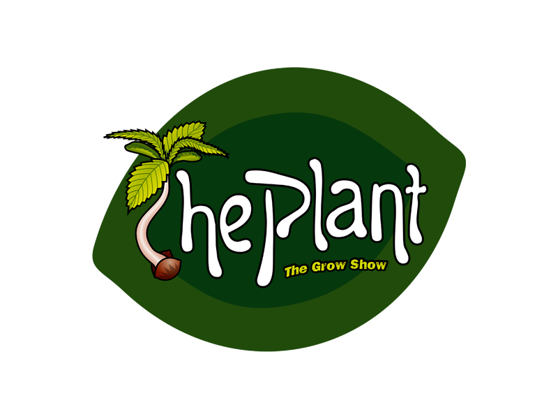 The Plant